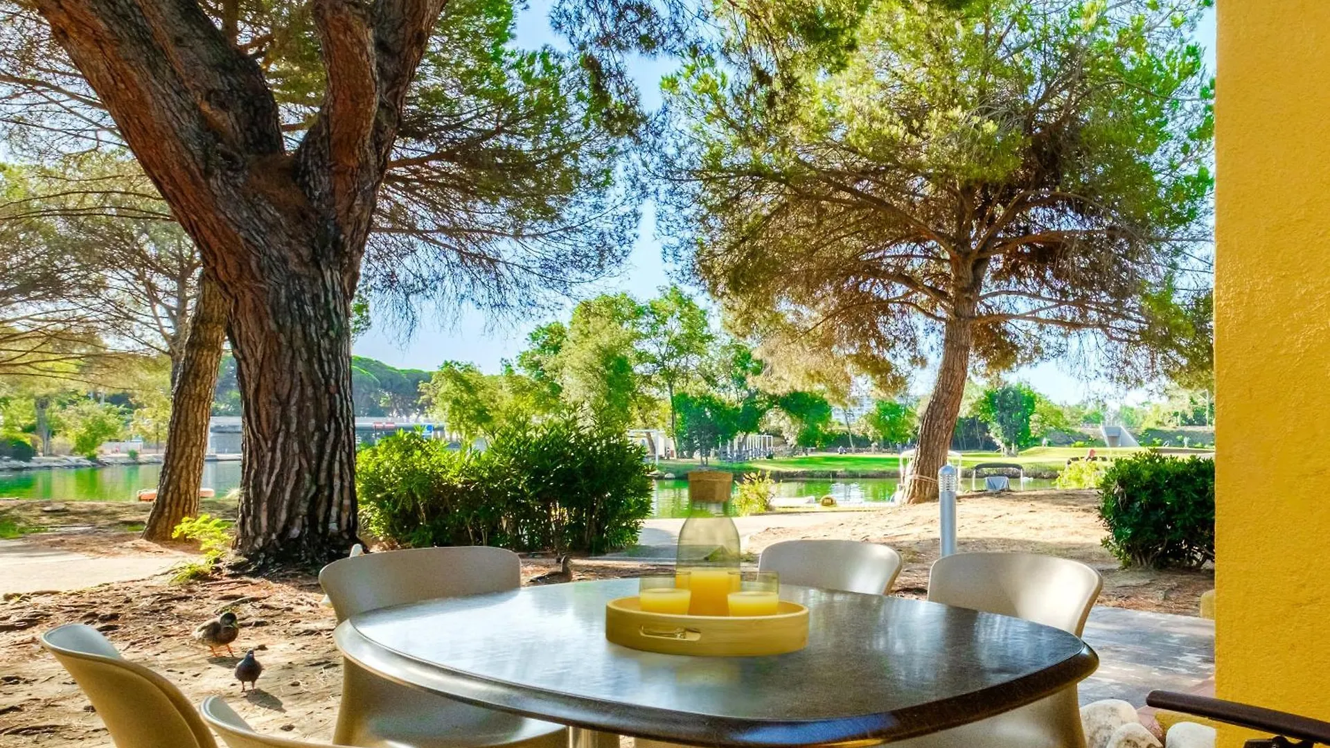 Residence Pierre & Vacances Les Rives De Cannes Mandelieu France